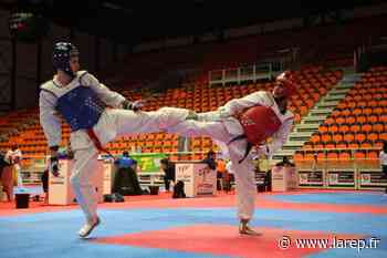 Sport - Le club de taekwondo de Pithiviers a décidé de faire passer les grades... par vidéo - La République du Centre