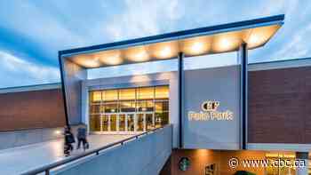 Malls need major rethink to survive pandemic, retail consultants say