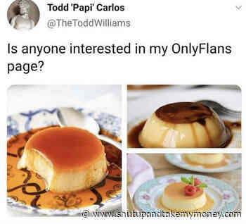 Is Anyone Interested In My OnlyFlans Page? – Meme