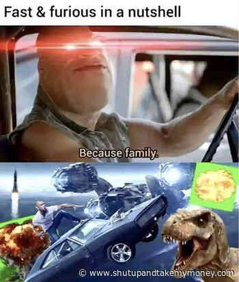 Fast And Furious In A Nutshell Because Family – Meme