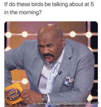 TF Do These Birds Be Talking About At 5 In The Morning – Steve Harvey Meme