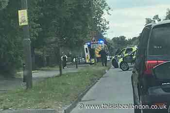 One man arrested and another rushed to hospital after major police incident in Orpington