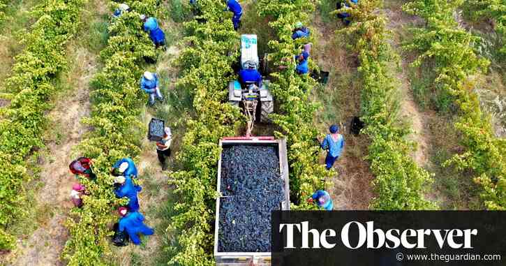 Are we really drinking more wine during the coronavirus crisis?