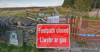 Birmingham family fined and sent home after climbing Pen y Fan