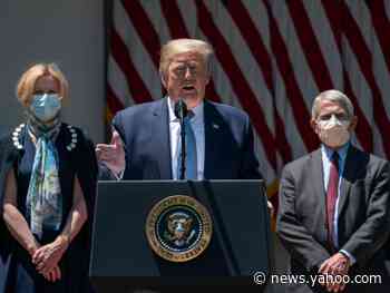 A senior Trump administration official said the president rebukes Fauci but supports Birx because 'she is charming and listens to him'