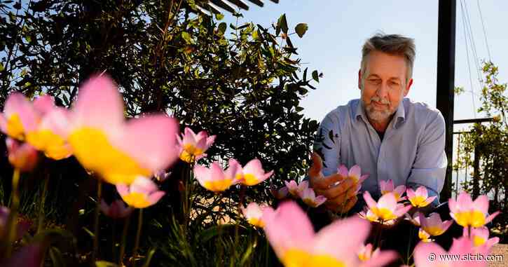 Utah’s Red Butte Garden welcomes a new director, works to reopen