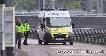 Another 12 deaths liked with coronavirus have been reported in Wales