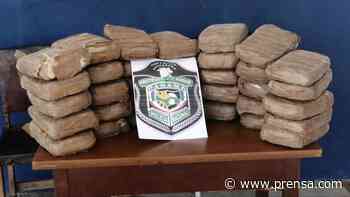Policía decomisa 35 kilos de droga en El Roble de Aguadulce - La Prensa Panamá