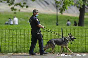 Cuomo says car and race tracks in NY can reopen with no fans