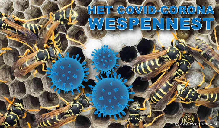 COVID-19: het wespennest..!