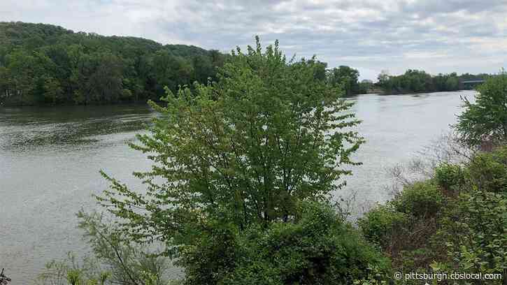 Police Searching For Man Who Fell In Ohio River