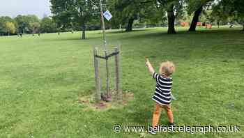 Family sparks lockdown craze by hiding Pokemon in local park