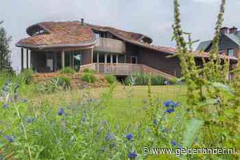 Architect ontwerpt huizen die één zijn met de omgeving, maar ook een gezonde werking hebben