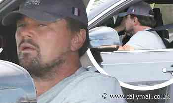 Leonardo DiCaprio sports dashing beard and baseball cap as he enjoys drive in Malibu