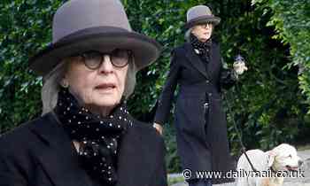 Diane Keaton enjoys a caffeinated walk with her dog Emmie, 15, during self-isolation break