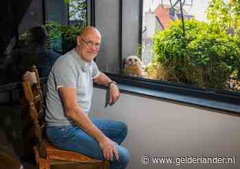 Oehoe bouwt nest met drie kuikens op de vensterbank van Jos: ‘Ze kijken ’s avonds televisie met mij’