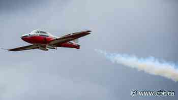 Canadian Forces Snowbirds jet crashes in Kamloops, B.C.