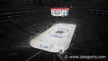 NHL, NHLPA making progress on plan for 24-team playoff format, report says