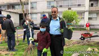 Dozens of new fruit trees making life sweeter in Thorncliffe Park during pandemic