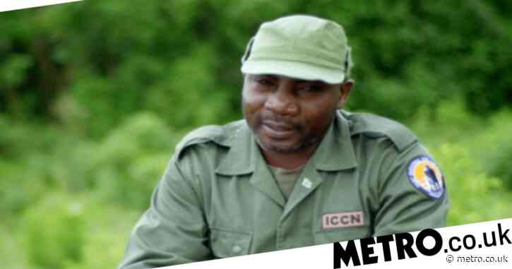 BBC Primates viewers in tears after park ranger recalls heartbreaking moment brother dies while protecting gorillas