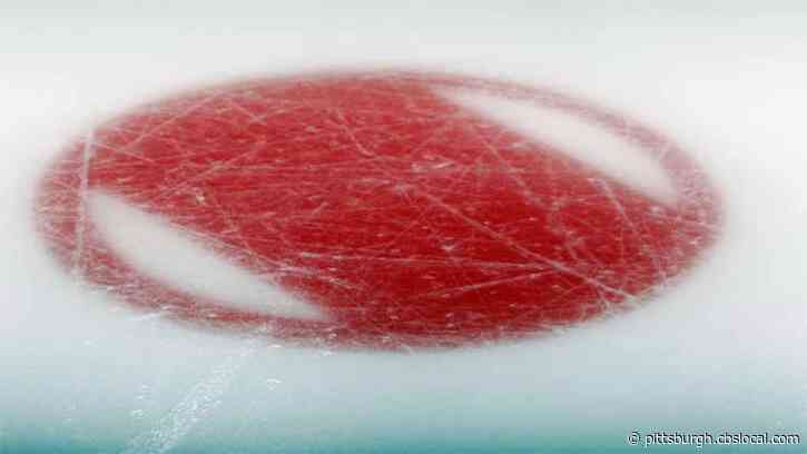 Pennsylvania Interscholastic Hockey League Cancels Remainder Of 2019-20 Season
