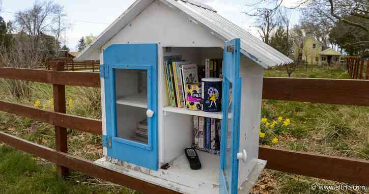 Small free libraries offering solace amid virus shutdowns