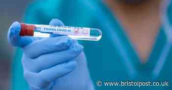 Actual number of coronavirus deaths in UK passes 41500 - Bristol Live