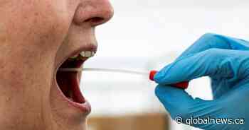 18 new coronavirus cases in Ottawa on Thursday, 1,725 in total - Globalnews.ca