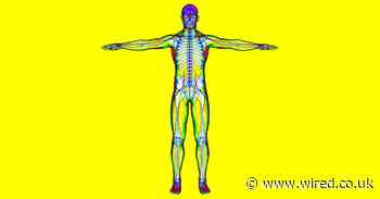 How coronavirus destroys the human body, one organ at a time