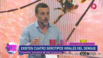 Hay más casos de dengue que de coronavirus en Buenos Aires - Noticias, Vivo Para Vos (Clips) - telenueve