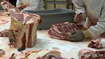 Why some think Canada's beef business needs more smaller players