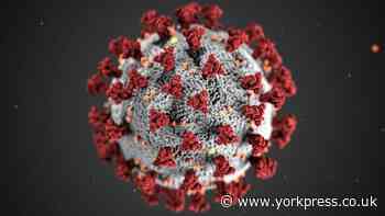 CORONAVIRUS: Hundreds of people to benefit from experimental treatment