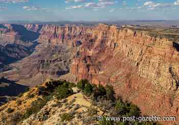 Traveling this summer? Maybe.