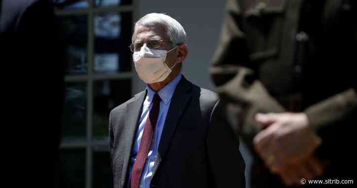Letter: What Fauci has not said
