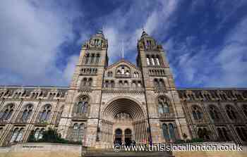 Five inspirational museums offering virtual tours for International Museum Day