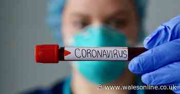 Those experiencing a loss of sense of smell should self-isolate