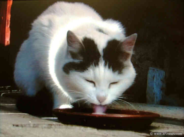 In Unusual Move, Top Collector Julia Stoschek Makes Essential Video Art Available for Free Online