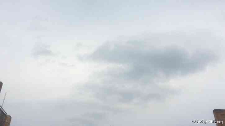 Was vom Tage übrig blieb: Löwenzahn, Lügen und eine Landesregierung