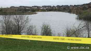 Vehicle pulled from Brampton pond, male seen running away