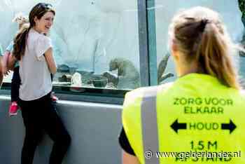 Ouwehands opent als een van de eerste grote parken de deuren, en zo gaat het er nu aan toe