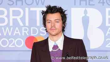 Harry Styles dedicates his Watermelon Sugar music video to ‘touching’