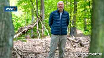 Hier rentiert sich ein Wald-Investment