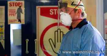 Experts criticise Wales' 'slow and clunky' Covid response in first weeks