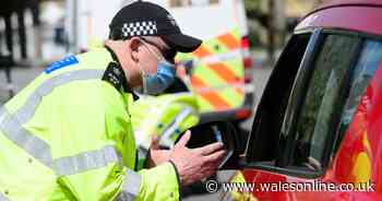 Men fined and sent home after woman confronts them over Wales trip