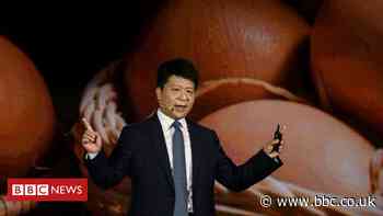 Huawei calls US rules 'arbitrary and pernicious'