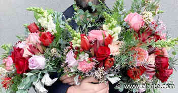 Toronto florist gets lambasted after being mistaken for another company - blogTO