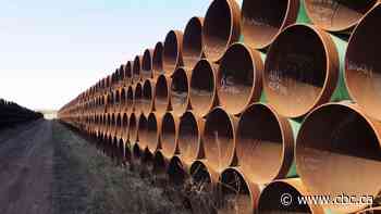 Biden says he'd cancel Keystone XL pipeline permit if elected