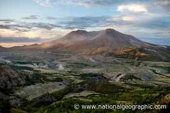 Mount St. Helens isn't where it should be. Scientists may finally know why. - National Geographic