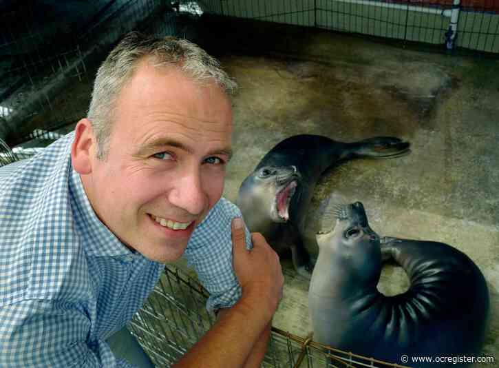 Henrik Nollens, marine mammal expert who worked with Navy and SeaWorld, joins PMMC
