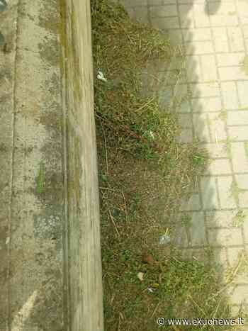 FOTO | San Nicolò, sfalcio erba in via della Pace non a regola d'arte? Residenti protestano ma l'Assessore risponde - ekuonews.it